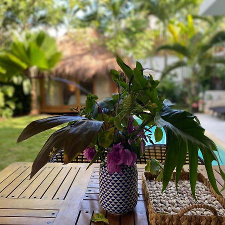 Luxury Private Villas , Private Pool, Private Garden, Jacuzzi, 24Hours Security Tulum Ngoại thất bức ảnh