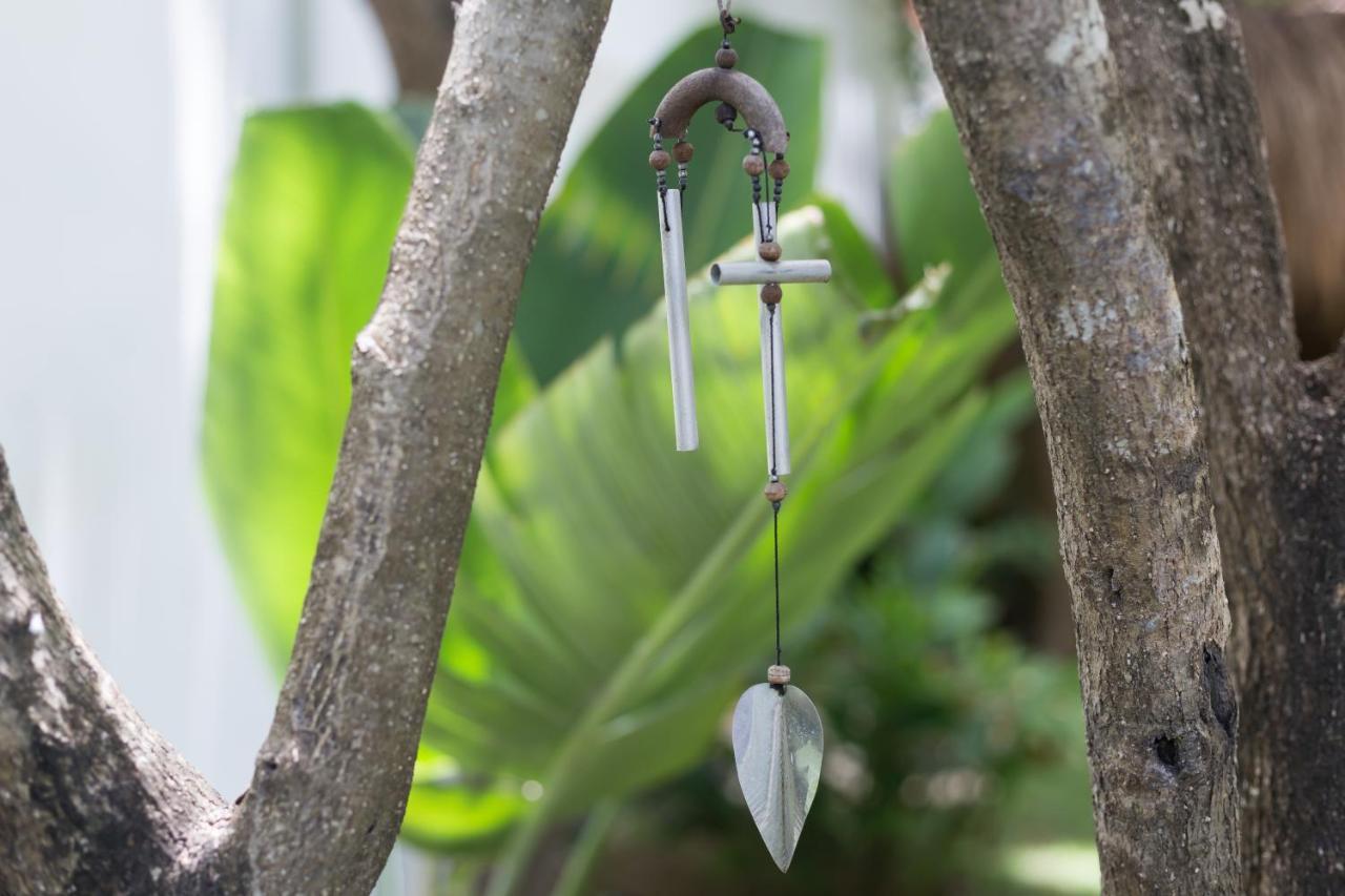 Luxury Private Villas , Private Pool, Private Garden, Jacuzzi, 24Hours Security Tulum Ngoại thất bức ảnh