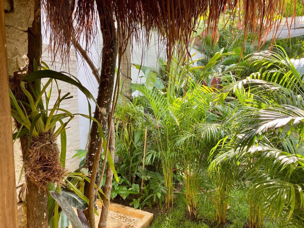 Luxury Private Villas , Private Pool, Private Garden, Jacuzzi, 24Hours Security Tulum Ngoại thất bức ảnh